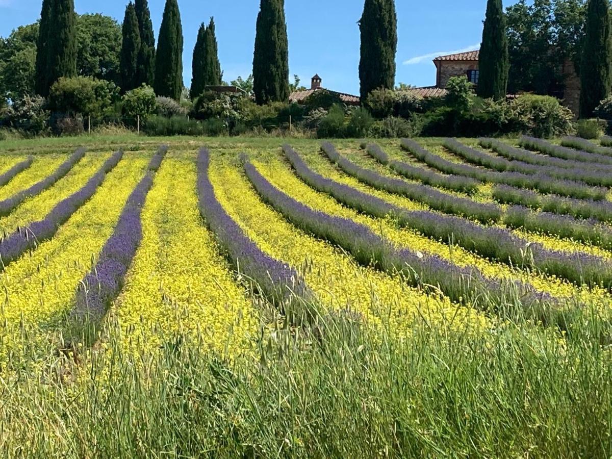 Agriturismo Pometti - Fattoria La Selva Трекуанда Екстериор снимка