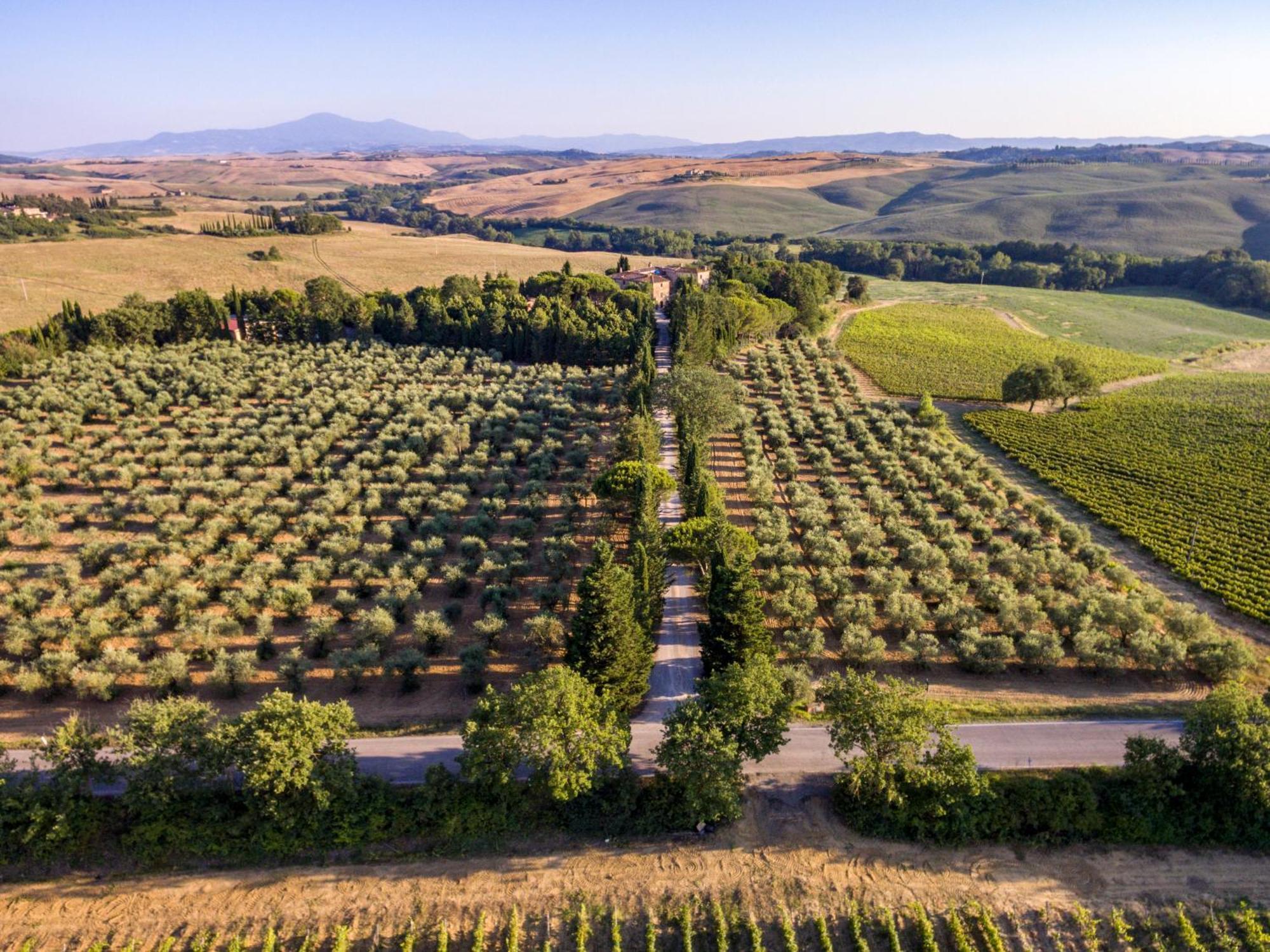 Agriturismo Pometti - Fattoria La Selva Трекуанда Екстериор снимка
