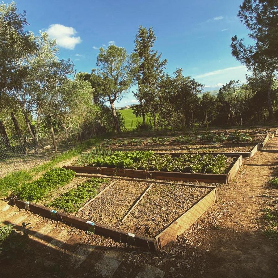 Agriturismo Pometti - Fattoria La Selva Трекуанда Екстериор снимка