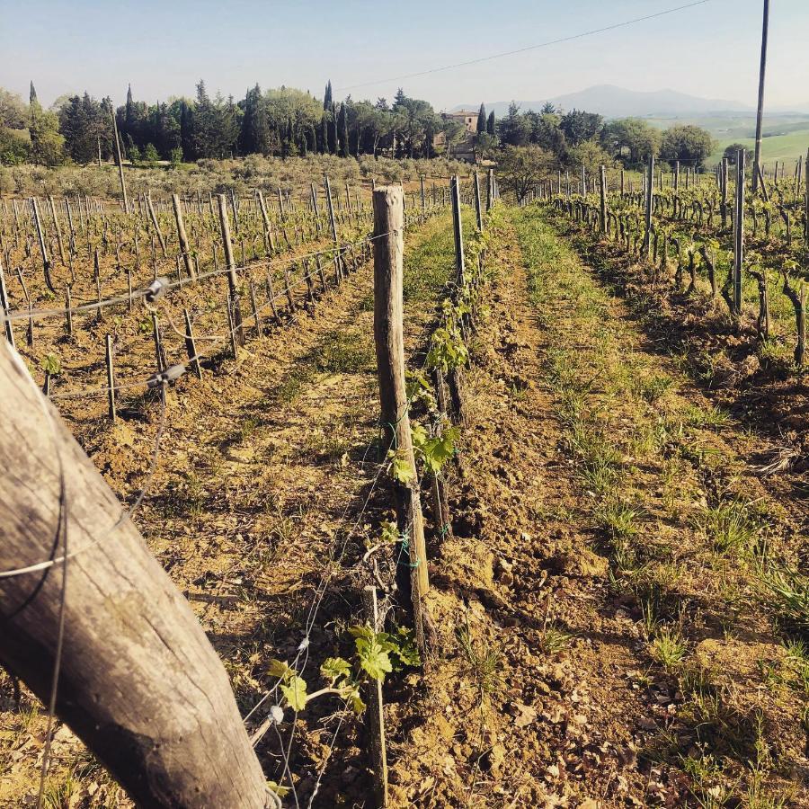 Agriturismo Pometti - Fattoria La Selva Трекуанда Екстериор снимка